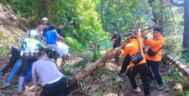 Akibat Longsor Jalur Palabuhanratu - Kiaradua, Sukabumi Lumpuh Total Akibat Longsor Jalur Palabuhanratu - Kiaradua, Sukabumi Lumpuh Total
