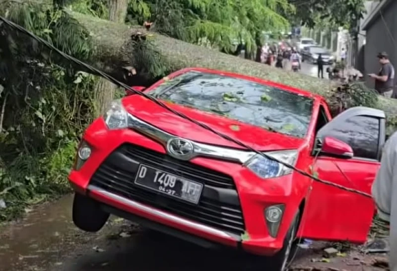 Bandung Dikepung Pohon Tumbang, Satu Orang Tewas Tertimpa