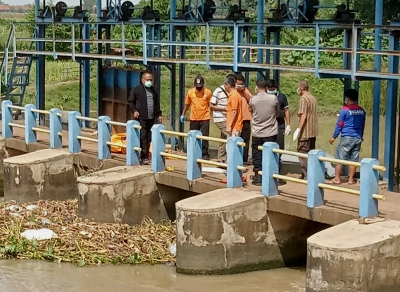 Sesosok Mayat Pria Ditemukan Mengambang di Irigasi Tarum Timur Subang