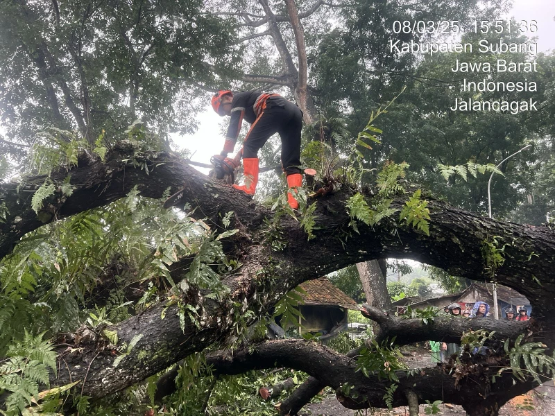 Cuaca Ekstrim di Subang Sebabkan Pohon Tumbang dan Tanah Longsor. Bendung Salamdarma Siaga Cuaca Ekstrim di Subang Sebabkan Pohon Tumbang dan Tanah Longsor. Bendung Salamdarma Siaga