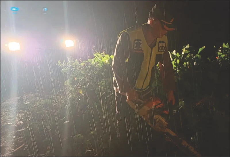 Gercep! Polsek Tanah Jawa Evakuasi Pohon Tumbang di Jalan Pematang Siantar–Tanah Jawa