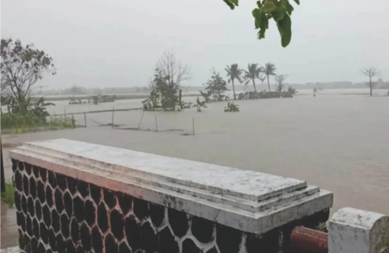 Intensitas Hujan Tinggi, Ratusan Hektare Area Persawahan di Tegalbuleud, Sukabumi Direndam Banjir