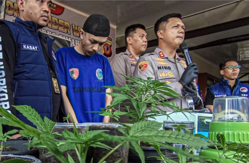 Jual Ganja Cokelat, Pria di Lembang Ditangkap Polisi