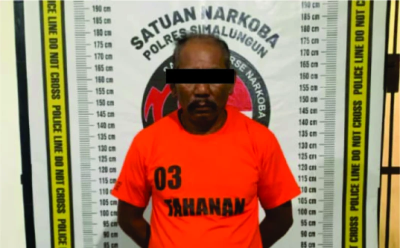 Kakek di Simalungun Digiring Polisi, Terkait Kepemilikan Ganja