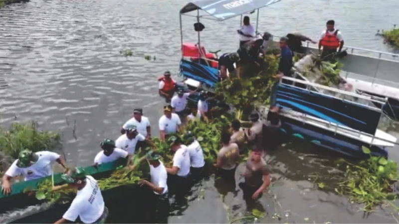 Kapolres Simalungun Bersihkan Danau Toba dari Eceng Gondok