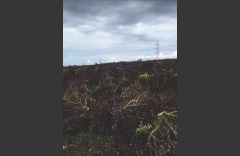 Kasus Perusakan Kebun Teh Pangalengan Sudah Masuk ke Tahap Penyidikan