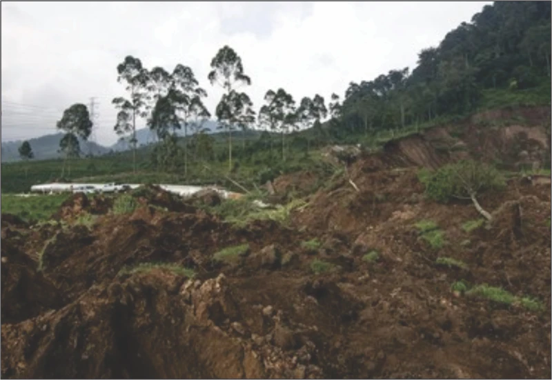 Longsor di Pangalengan Rusak Dua Rumah dan Tewaskan Dua Balita yang Sedang Makan