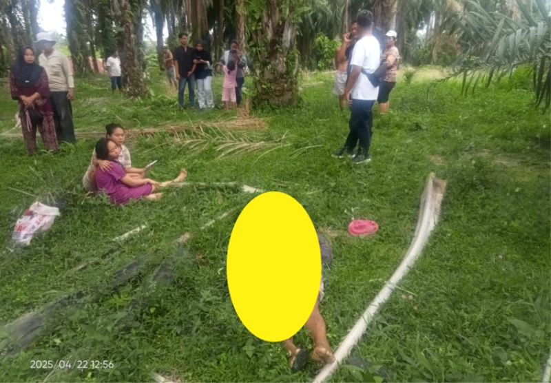 Mayat Pria Ditemukan Warga di Area Perladangan Sawit Simpang Nagojor