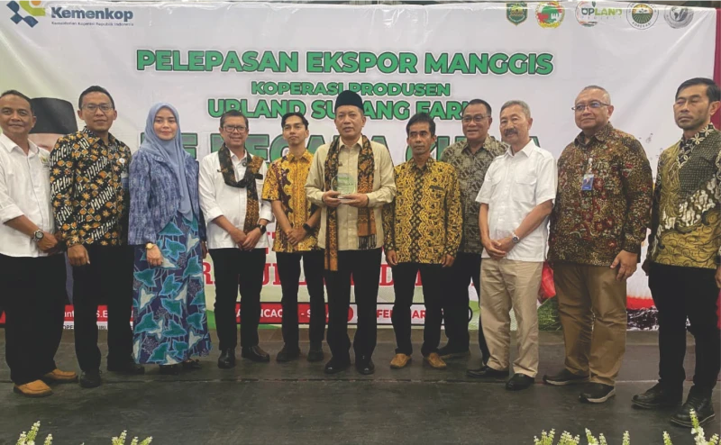 Pemerintah Siap Bantu Modal, Manggis Subang Terbang ke Cina