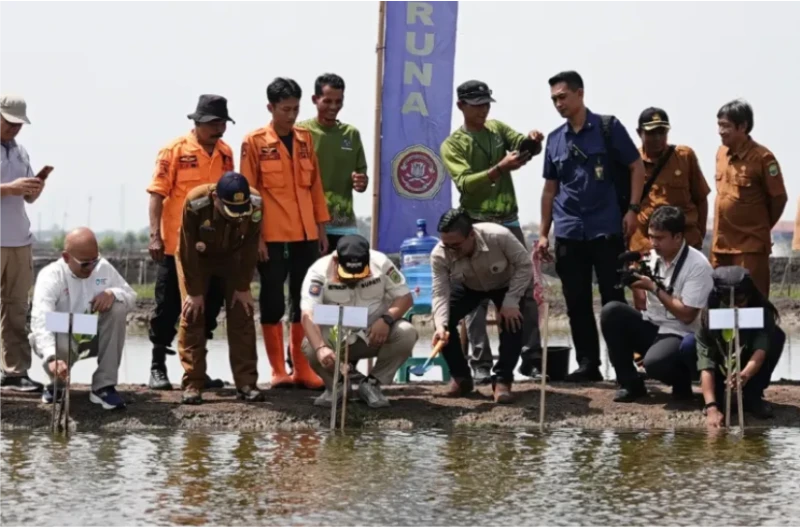 Peringati Hari Bumi se Dunia, Bupati Subang Tanam Mangrove di Pesisir Desa Anggasari Peringati Hari Bumi se Dunia, Bupati Subang Tanam Mangrove di Pesisir Desa Anggasari