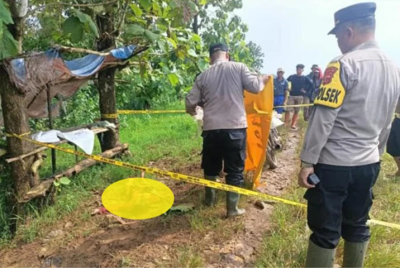 Petugas Keamanan Desa di Subang Tewas Disambar Petir