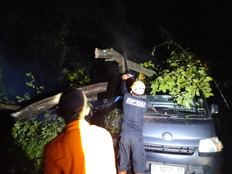 Pohon Tumbang di Cirangkong, Subang Timpa Gran Max Pembawa Ayam