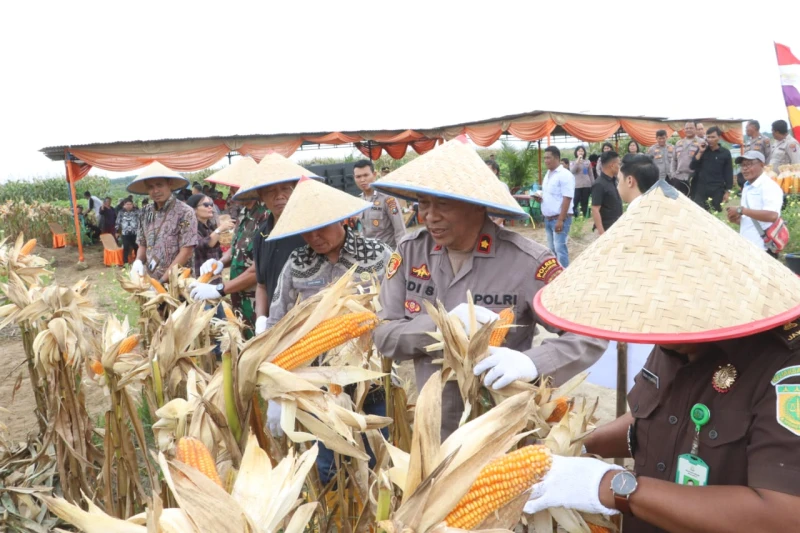 Polres Simalungun Turut dalam Panen Raya Jagung Bersama Kapolri