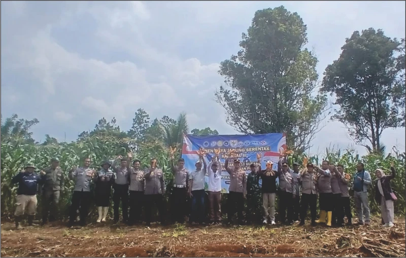 Polsek Ciparay Ikut Panen Raya Jagung Kuartal II Bersama Kapolri dan Presiden