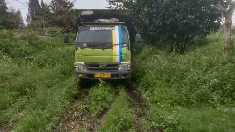 Polsek Tanah Jawa Amankan Truk Pengangkut Kayu Glondongan