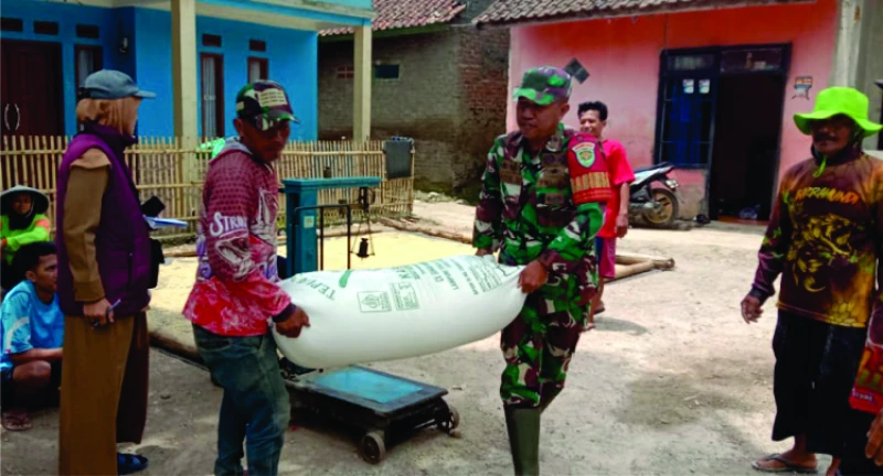 Puasa Tak Jadi Penghalang Babinsa Baleendah Untuk Bantu Petani Panen Padi