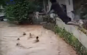 Sempat Nolong Korban Hanyut, Satpam SMAN 1 Banjaran yang Terseret Arus Sungai Cibanjaran Ditemukan Meninggal Dunia