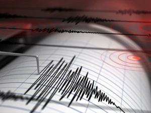 Gempa Magnetudo 4,4 Guncang Laut Sukabumi
