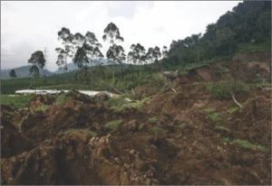 Longsor di Pangalengan Rusak Dua Rumah dan Tewaskan Dua Balita yang Sedang Makan