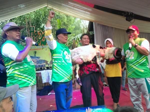 Masyarakat Bumiwangi Ciparay, Jalan Santai Berebut Domba