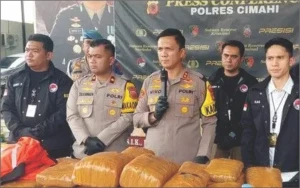 Polres Cimahi Gagalkan Distribusi Ganja 1 Kuintal ke Kota Bandung