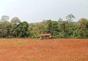 Proyek Ketahanan Pangan Desa Cimayasari, Subang Tuai Sorotan