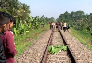 Seorang Pria di Sukabumi Tewas Ditabrak KA Pangrango