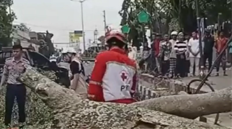 Tiga Jamaah Salat Idul Fitri di Alun - Alun Pemalang Meninggal Dunia Tertimpa Pohon Tiga Jamaah Salat Idul Fitri di Alun - Alun Pemalang Meninggal Dunia Tertimpa Pohon